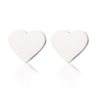 Oorstekers / ear studs staal - hart