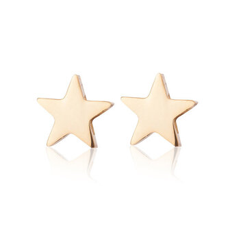 Oorstekers / ear studs staal goud plated - ster