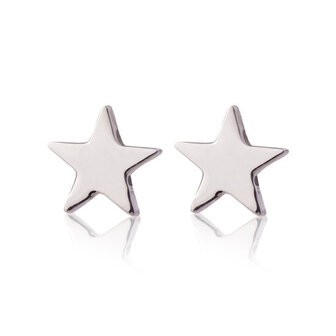 Oorstekers / ear studs staal - ster