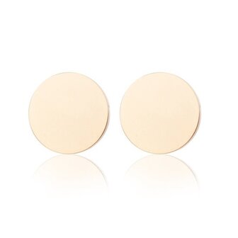 Oorstekers / ear studs staal goud plated - rond