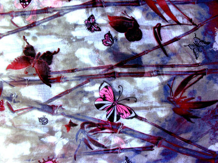Kolsjaal vlinders multicolor - grijs