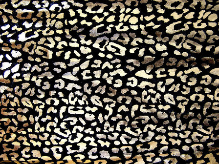 Sjaal panterprint - zwart / goud