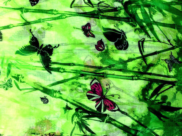 Kolsjaal vlinders multicolor - groen